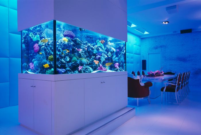 Decoraciones para acuarios