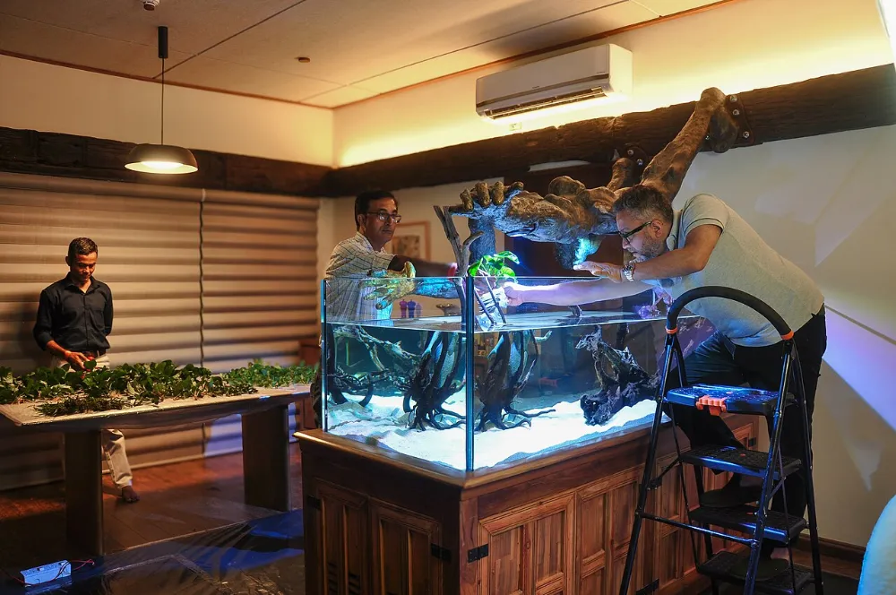 10 reglas para un acuario exitoso