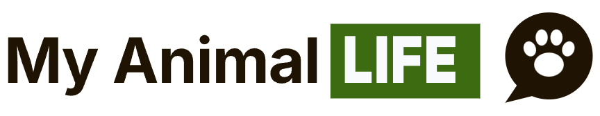 My Animal LIFE